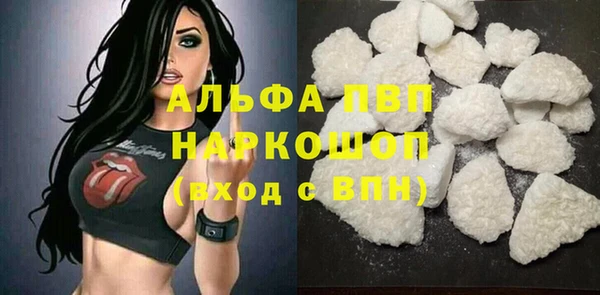 индика Вязники